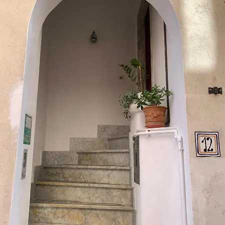 Rosa's House *